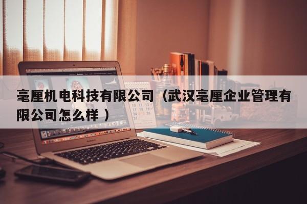毫厘機(jī)電科技有限公司（武漢毫厘企業(yè)管理有限公司怎么樣 ）